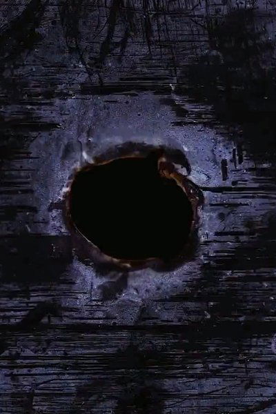 Poster do Filme Wholly Holy