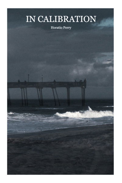 Poster do Filme In Calibration