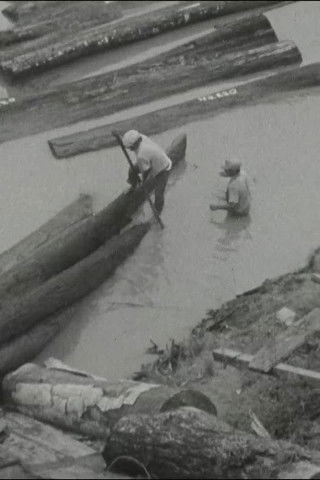 Poster do Filme Visión de la selva