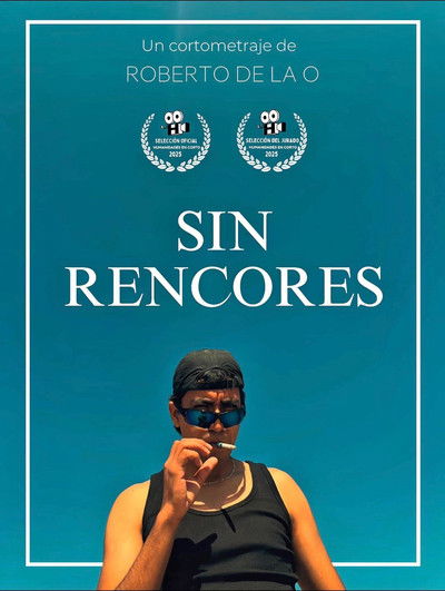 movie poster for No Hard Feelings