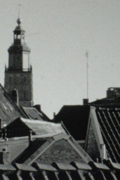 Poster do Filme Tweeluik