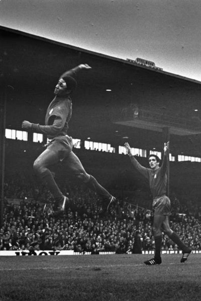 Portugal vs Coreia do Norte