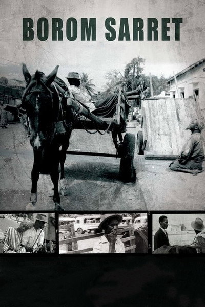 Poster do Filme O Carroceiro