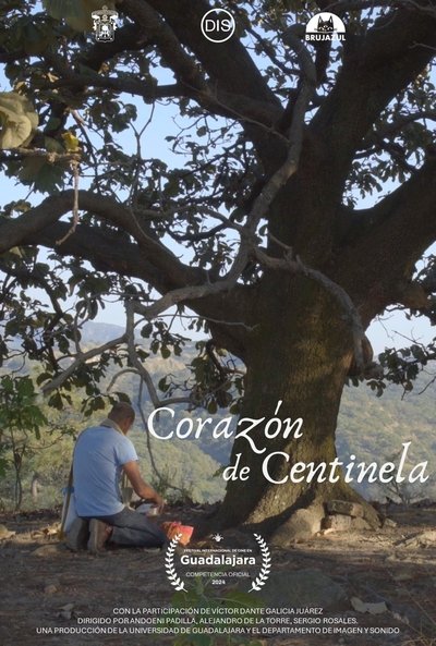 Poster do Filme Corazón de centinela