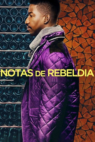 Poster do Filme Notas de Rebeldia