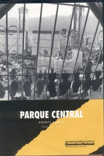 movie poster for Parque Central
