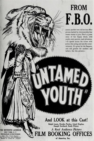 movie poster for Untamed Youth