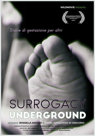 Poster do Filme Surrogacy Underground