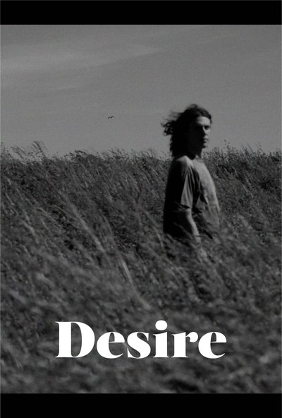Poster do Filme Desire