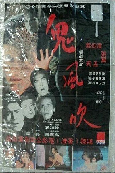 Poster do Filme 鬼風吹