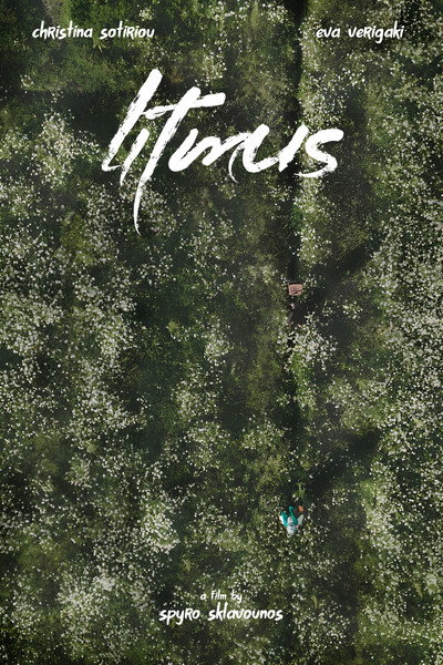 Litmus