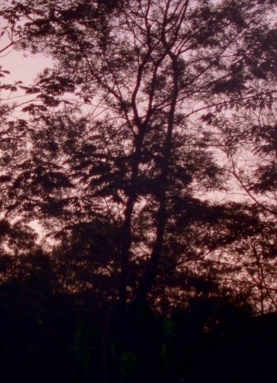 Poster do Filme Merapi