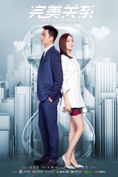 Perfect Partner TV Show Poster