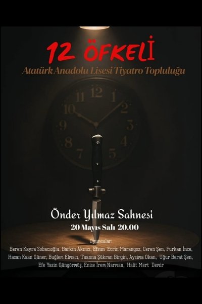 Poster do Filme 12 Kızgın