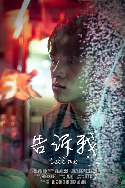 Poster do Filme 告诉我
