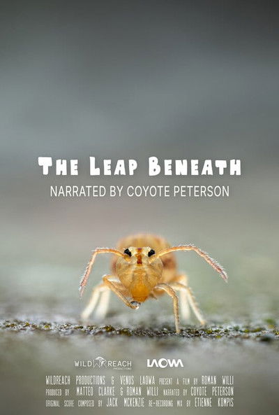 Poster do Filme The Leap Beneath