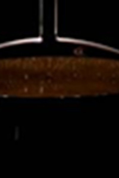 Poster do Filme The European Showerbath