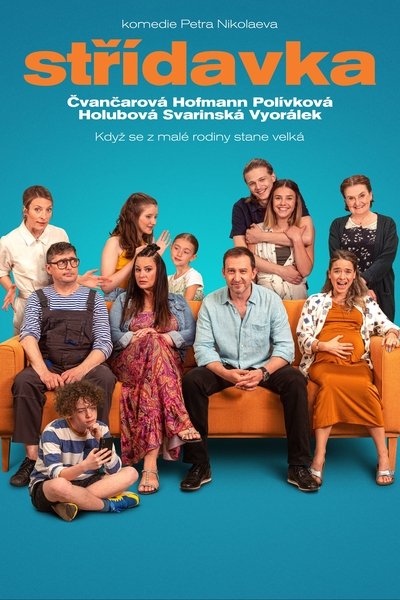 Poster for the movie Blended