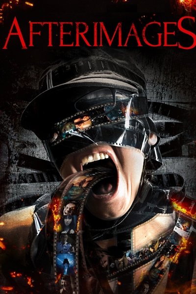 Poster for the movie Afterimages