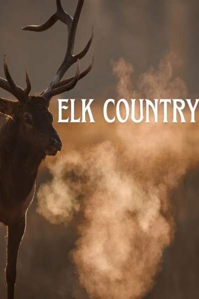 Poster do Filme Elk Country