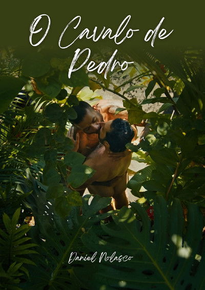 Poster do Filme O Cavalo de Pedro