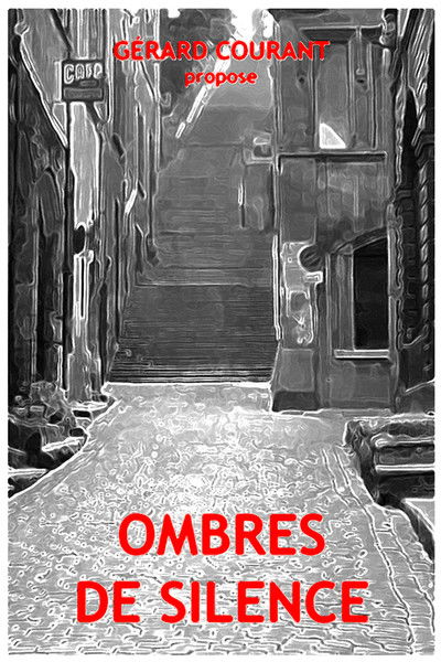 Poster do Filme Ombres de silence