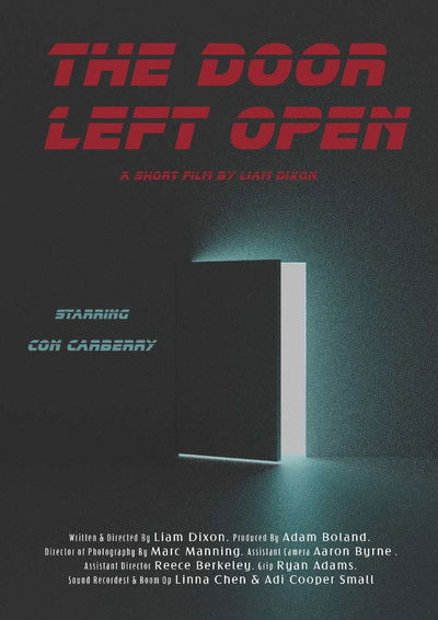 movie poster for The Door Left Open