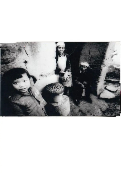 movie poster for Lotus Ferry