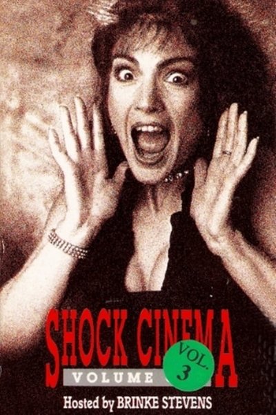 Watch - Shock Cinema: Volume Three Movie Online Putlocker