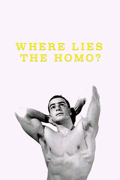 Poster do Filme Where Lies the Homo?