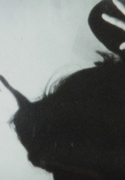 Poster do Filme プロローグ・エピローグ