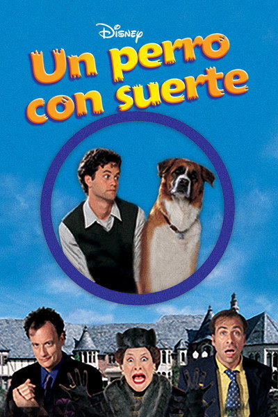 Un perro con suerte