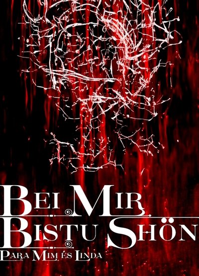 Poster do Filme BEI MIR BISTU SHON: PARA MIM ES LINDA