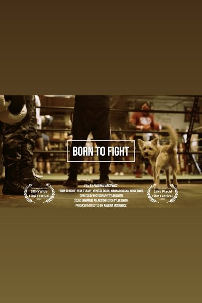 movie poster for Born to Fight