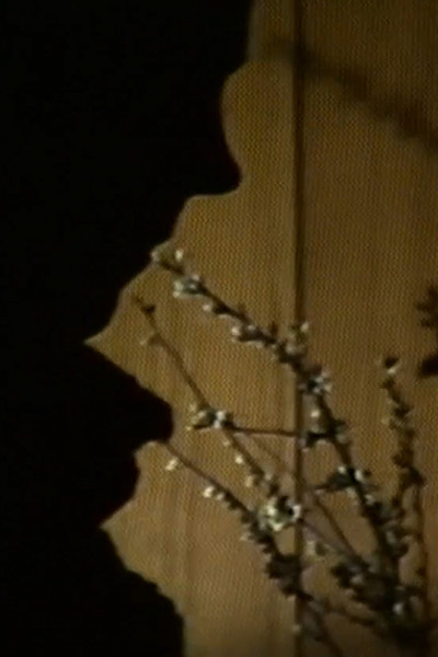 Poster do Filme Il buio