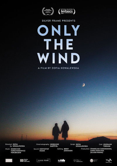 movie poster for Only the Wind