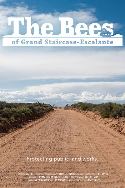 The Bees of Grand Staircase-Escalante