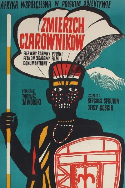 Poster do Filme Zmierzch czarowników