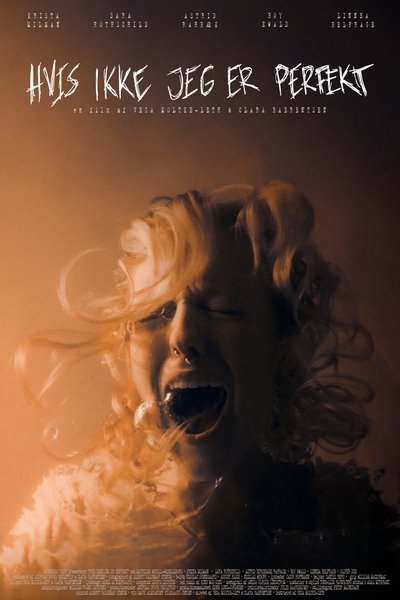 movie poster for Without Perfection