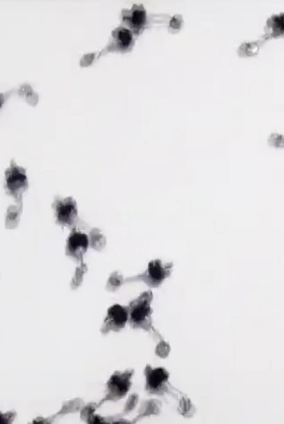 Poster do Filme Untitled Sound Objects