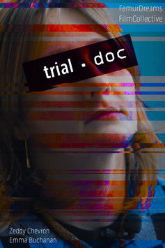 Poster do Filme trial.doc