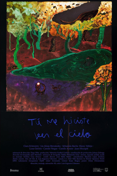 Poster do Filme Tu me hiciste ver el cielo