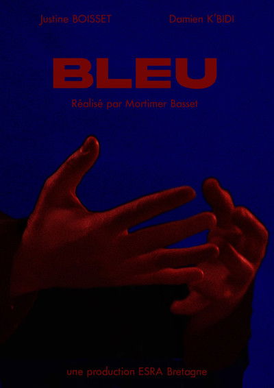 Poster do Filme BLEU