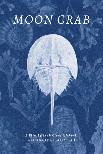 Moon Crab