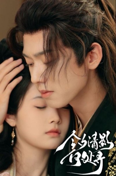 poster for 今夕清影何处寻