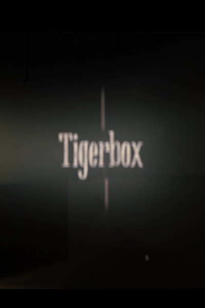 Poster do Filme Tigerbox