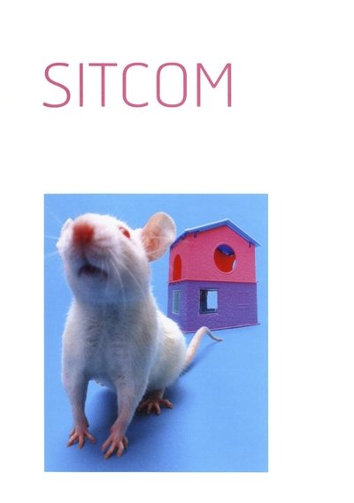 Poster for the movie Sitcom