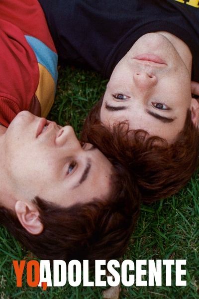 Poster for the movie Memories of a Teenager