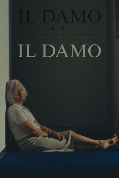 movie poster for Il Damo