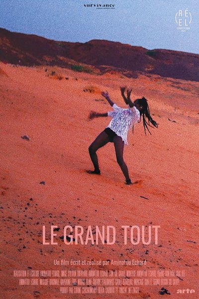 Poster do Filme Le Grand Tout